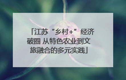 江苏“乡村+”经济破圈 从特色农业到文旅融合的多元实践